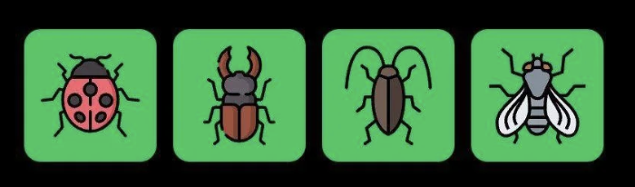 FLIES Daily Combo 12 July 2025